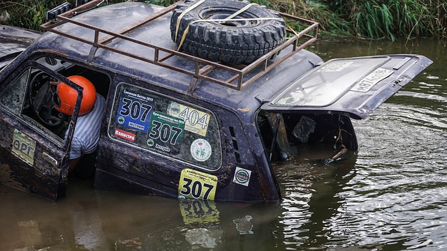 施摆烂策略 施摆烂策略