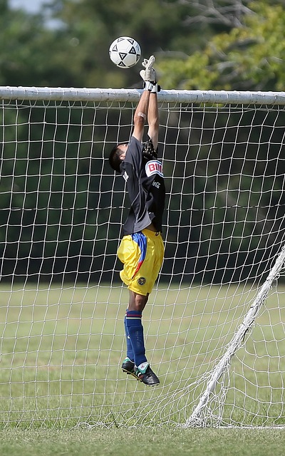 以期在竞争 以期在竞争