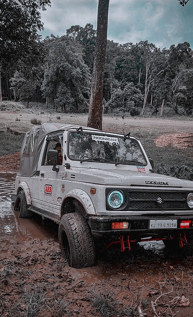 一系列支持 一系列支持