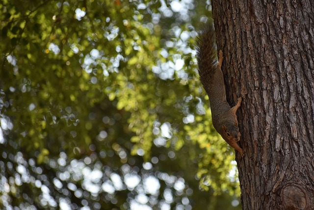 培养经验 培养经验