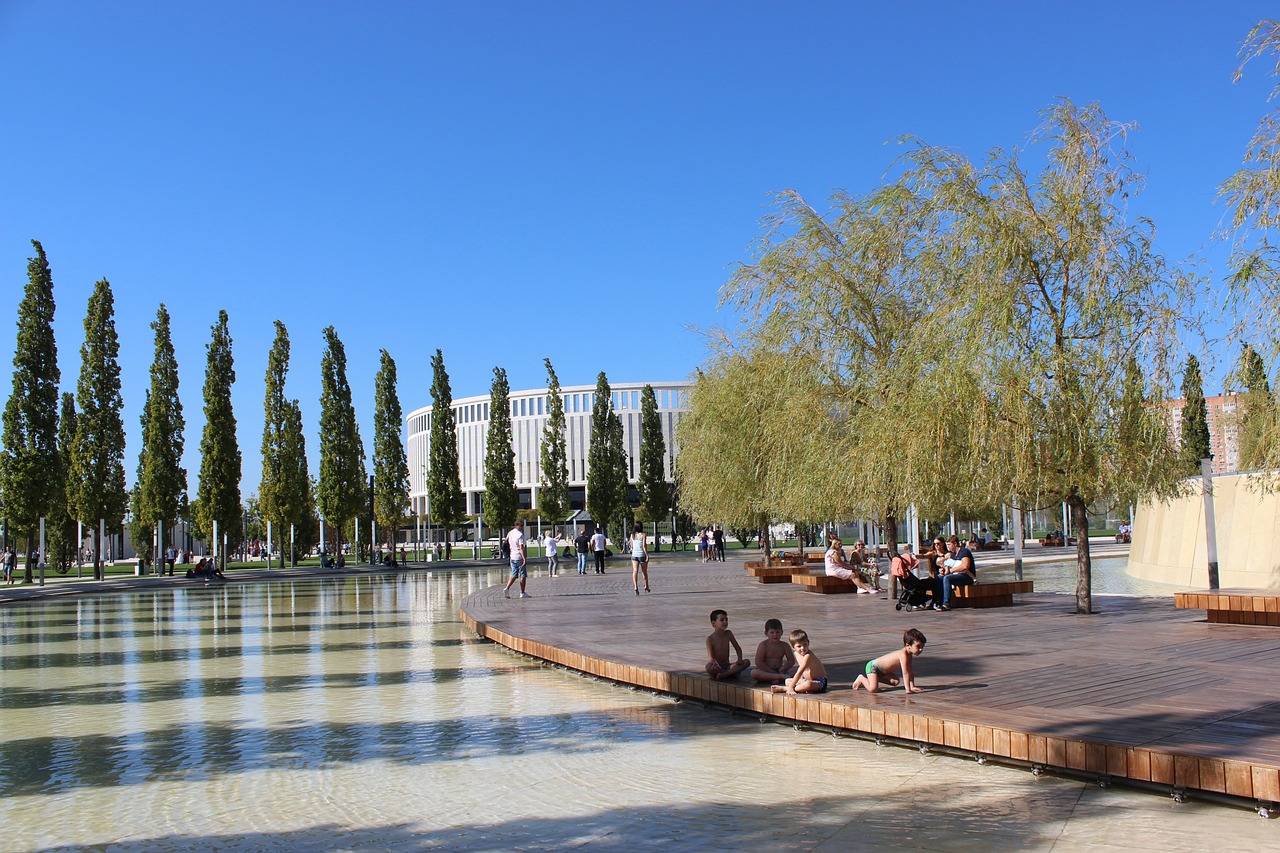 提供了全新 提供了全新